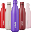 25Oz Insulated Stainless Steel Water Bottles Travel Sports Metal Water Bottles, Purple Cap