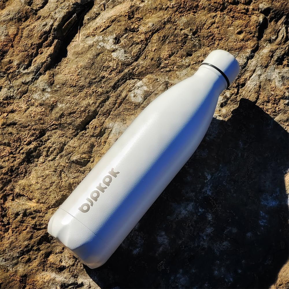 25Oz Insulated Stainless Steel Water Bottles Travel Sports Metal Water Bottles, Purple Cap